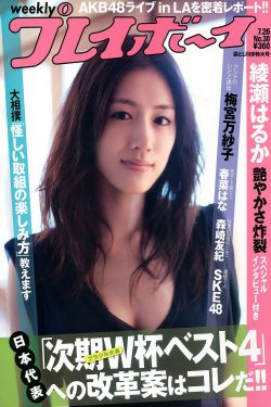 老板和秘书吃胸小说